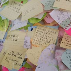 乌龍煎(白蒲店) User Photo