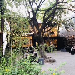 Café Kitsuné Aoyama User Photo