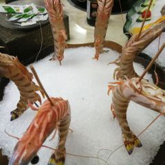 老友記海鮮姿造張用戶圖片