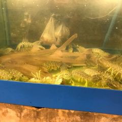 Pupen Seafood Pattaya User Photo