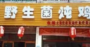 美之味菌子炖鸡