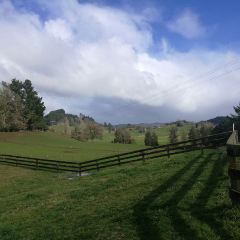 Waitomo Homestead ảnh của người dùng