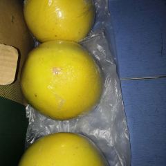 草湖农家乐桃园饭庄 User Photo