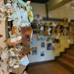 张小姐的店·音乐餐厅 User Photo