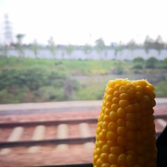 KEN DE JI ZHENG ZHOU DONG ZHAN DIAN User Photo