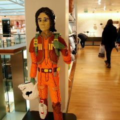 Salling張用戶圖片