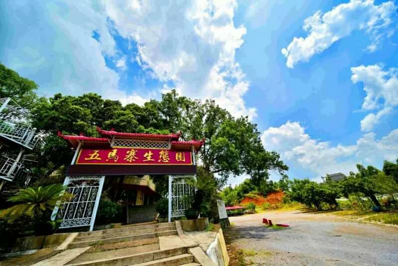 Wumazhai Ecological Garden