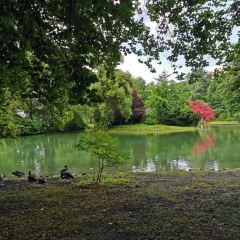 Mini Hofbrauhaus im Englischen Garten張用戶圖片