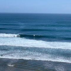 Single Fin User Photo