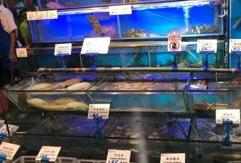 Lamma Rainbow Seafood Restaurant user photo