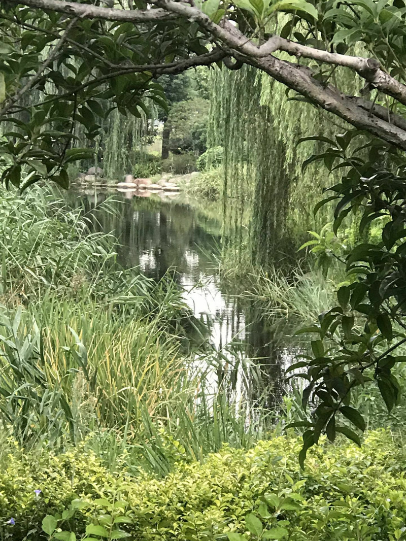 新社莊園用戶評價