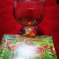 FENG SHOU LU ZHUANG User Photo