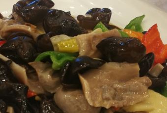 BU DAO WENG User Photo