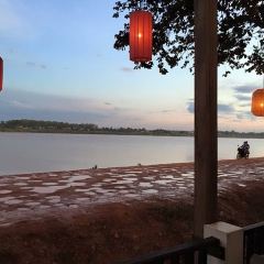 Kong View ảnh của người dùng