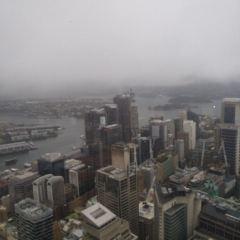 SkyFeast at Sydney Tower User Photo