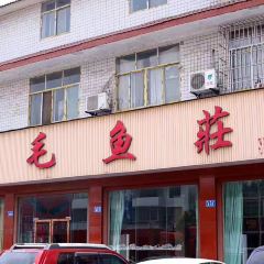 三毛魚莊張用戶圖片