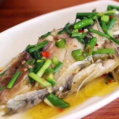 葱葱鲫鱼 User Photo