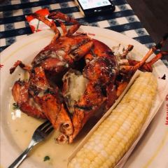 Pearl Dive Oyster Palace User Photo