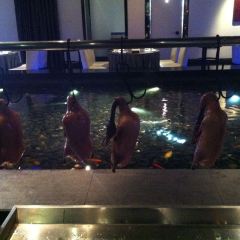 DaDong Roast Duck (Fucheng Road) User Photo