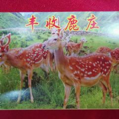 FENG SHOU LU ZHUANG User Photo