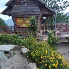 Gaia Cafe & Crafts User Photo