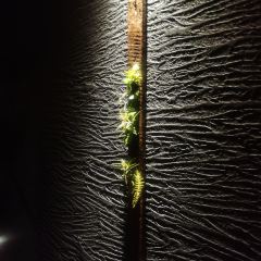 鸟匠·新潮日料(万象九宜城店) User Photo