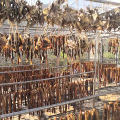 台山第一家兴华黄鳝饭·黄鳝婆(合水分店) User Photo