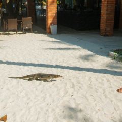 Sabai Beach Restaurant User Photo