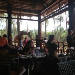 Giraffe restaurant User Photo