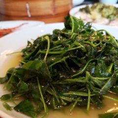 双塔老饭店 User Photo