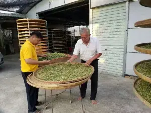 国香茶艺