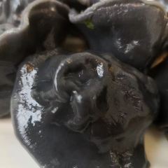 Sinbal Won ảnh của người dùng
