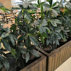 Restaurant Akrame張用戶圖片