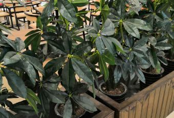 Restaurant Akrame張用戶圖片