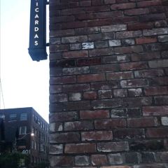 Ricarda's User Photo