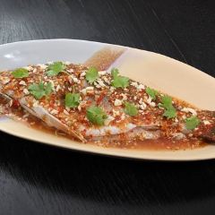 Flare張用戶圖片