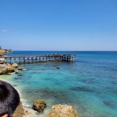 KISIK Seafood & Grill User Photo