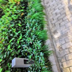 草湖农家乐桃园饭庄 User Photo