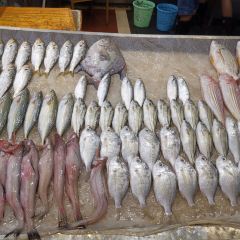 海濱賓館·醉海樓張用戶圖片