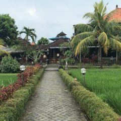 Bebek Joni Restaurant User Photo