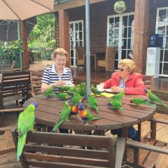 The Polish Club Milton User Photo