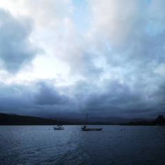 The Crafty Baa Windermere User Photo