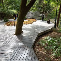 HUA JING SHI GUANG User Photo