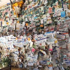 前站牦牛酸奶坊 User Photo