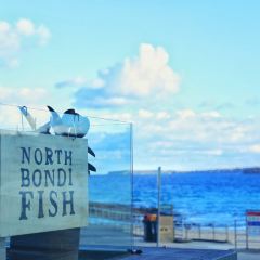 North Bondi Fish User Photo