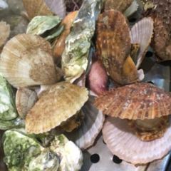 宝龙大锅海鲜(栈桥店) User Photo