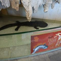 土王府 User Photo