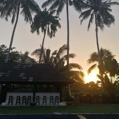 Nam Restaurant張用戶圖片