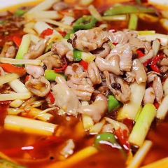 三毛魚莊張用戶圖片