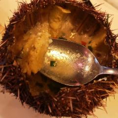 IKAN-IKAN ảnh của người dùng